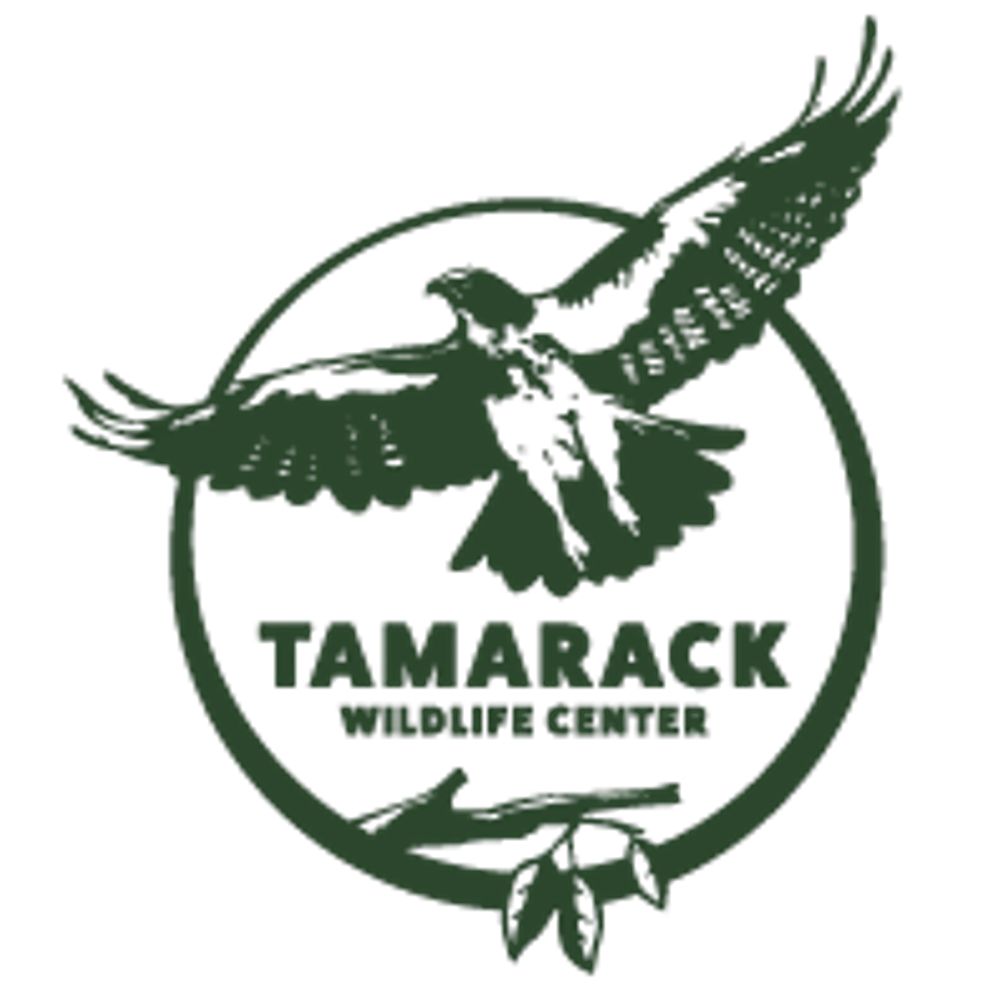 Tamarack Wildlife Center