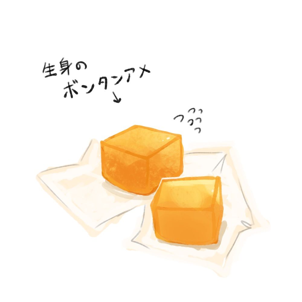 生身のボンタンアメ(ちょうちょのすがた)