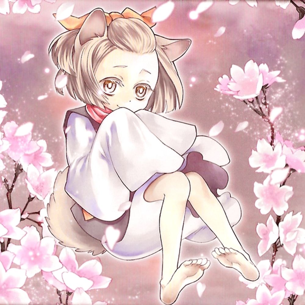 Sakura 🌸