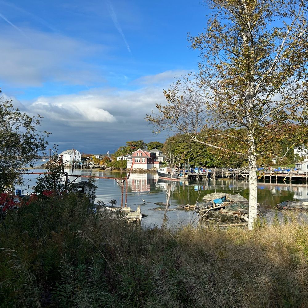 55ingalls.bsky.social