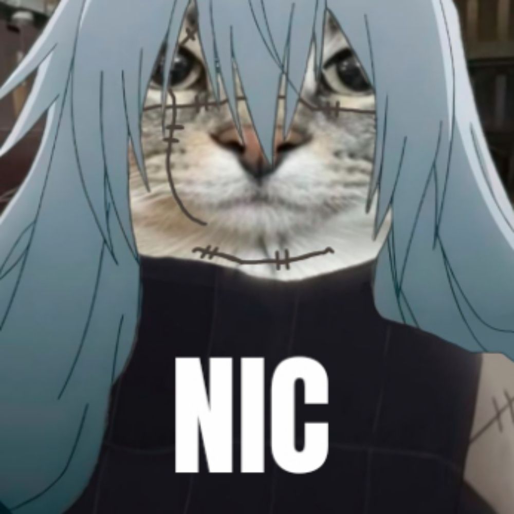 NIC