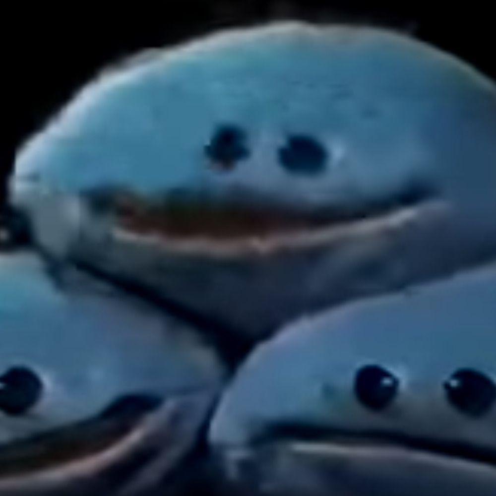 moddedpan