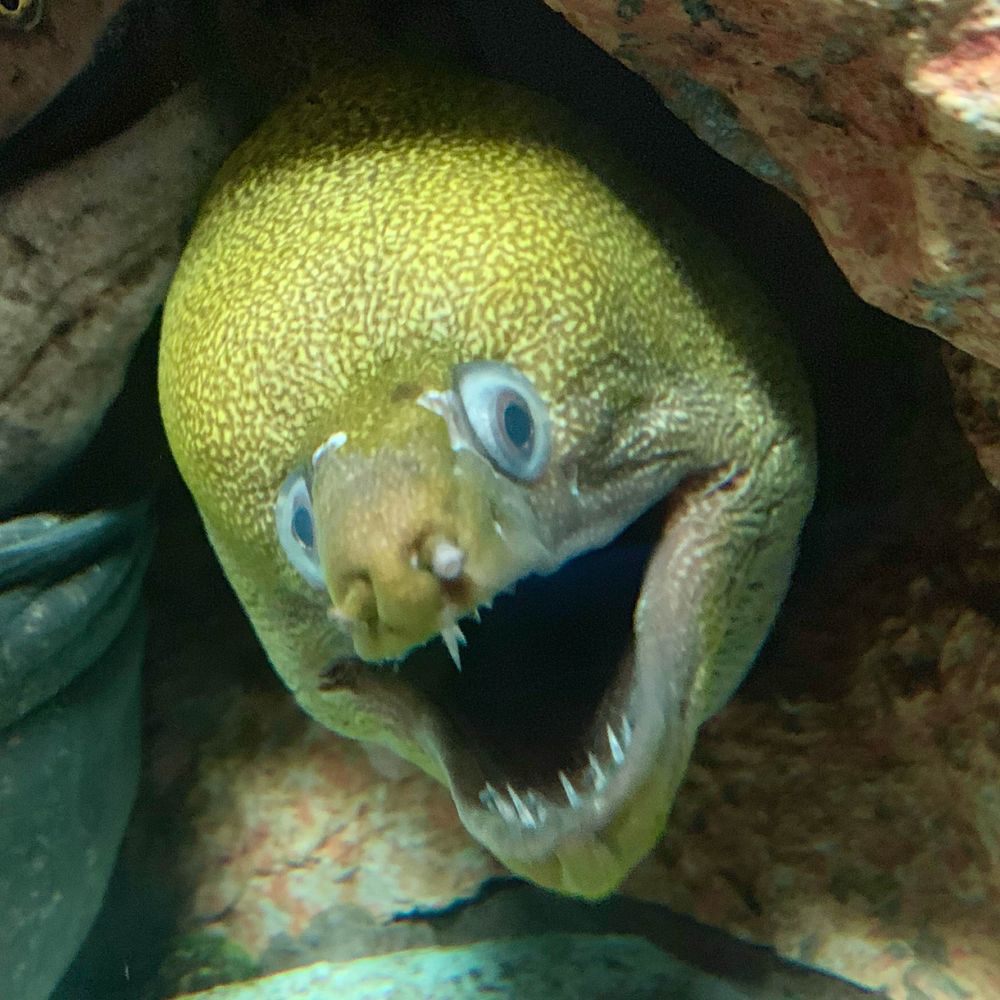 プラプラしてんじゃね〜よ