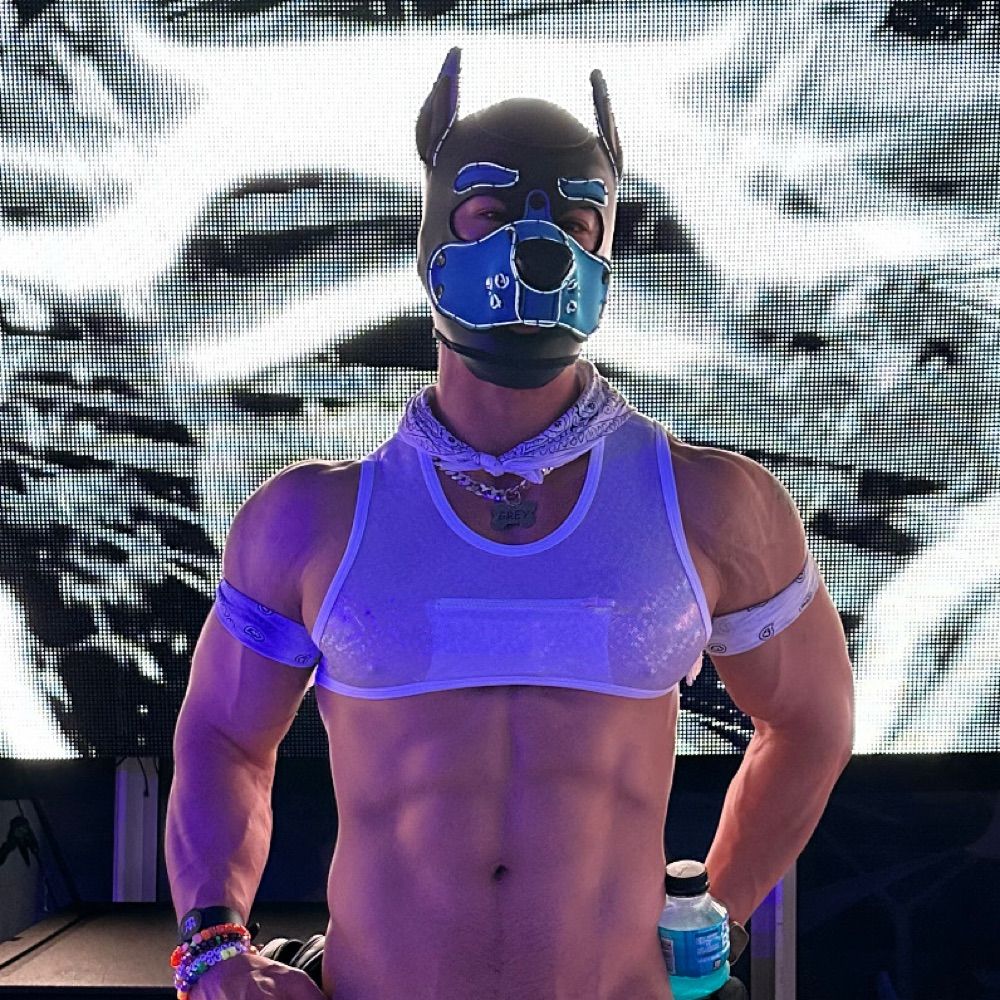 Muscle Pup Grey