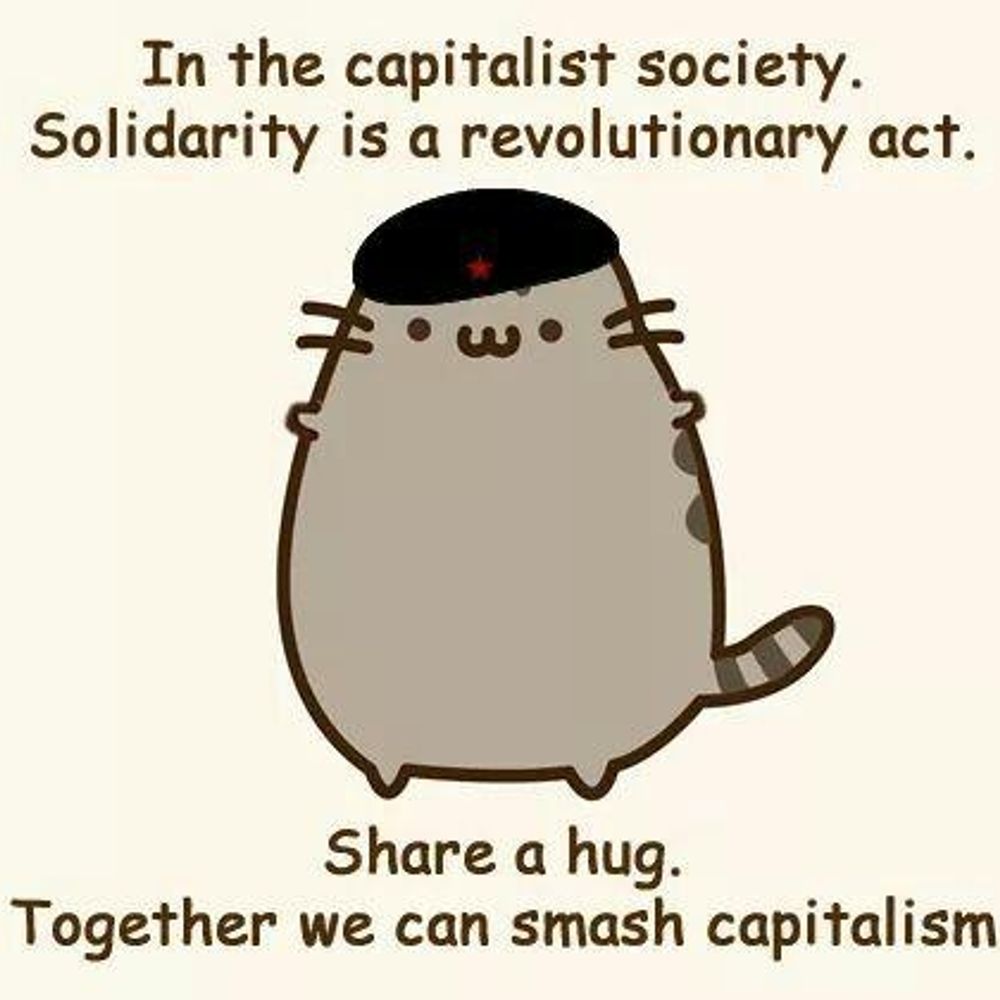 Anarchy cat