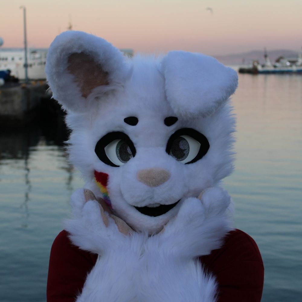 JaceTheBun