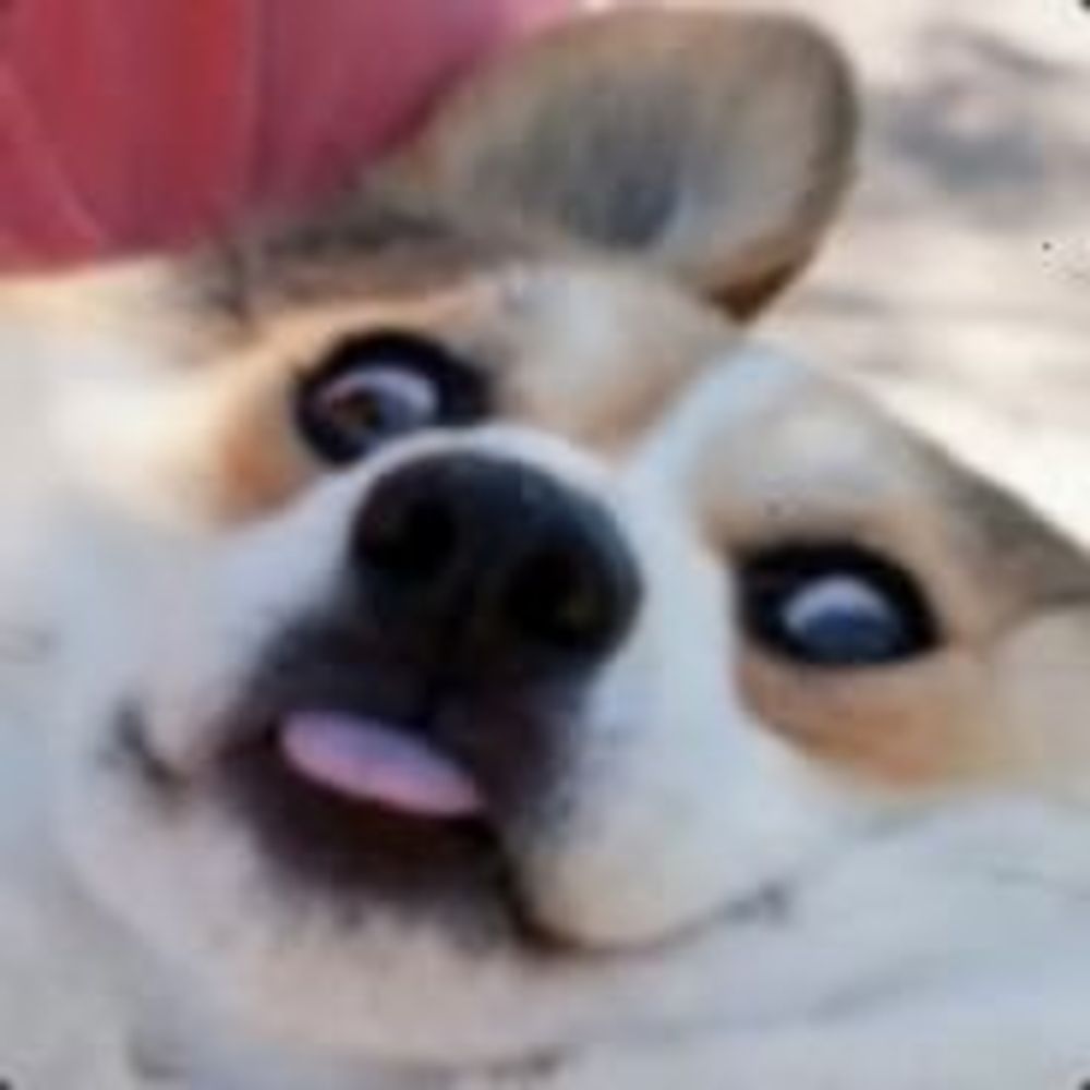 Elgu