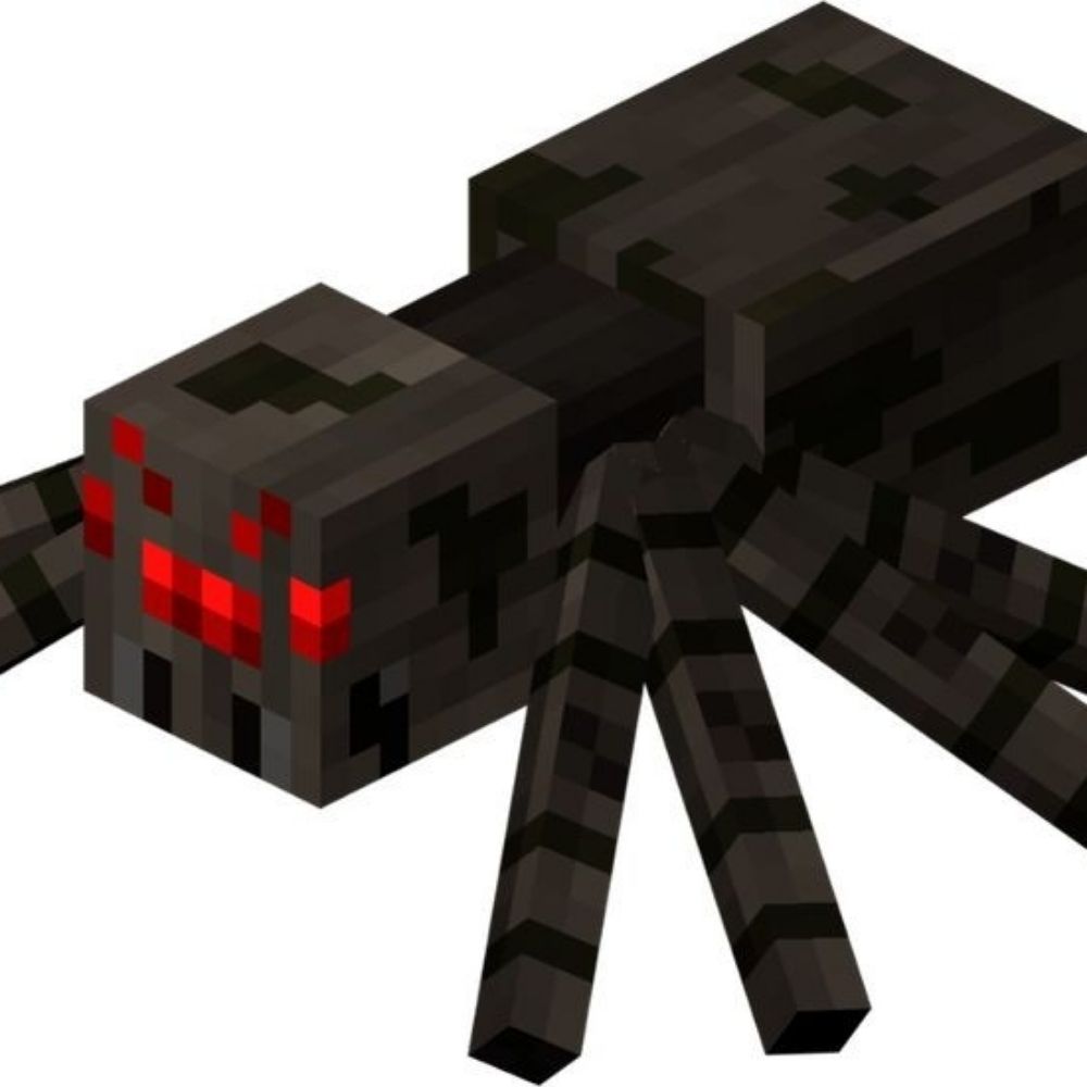 Spider