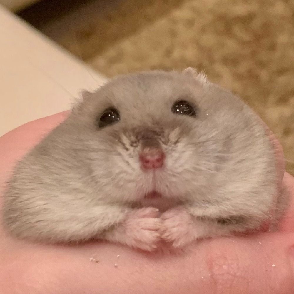 여신