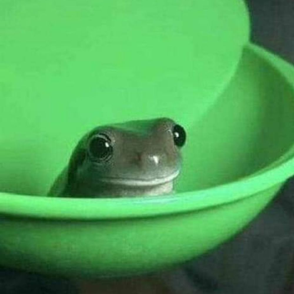 Vim ver fotos de casal