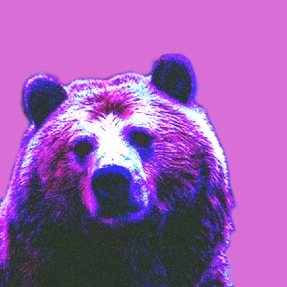 Bearly