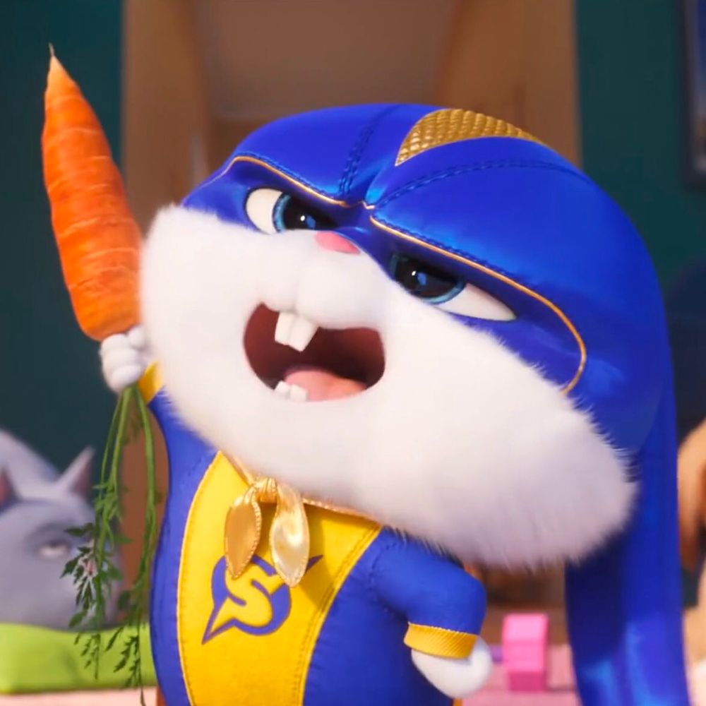 softbunnytail