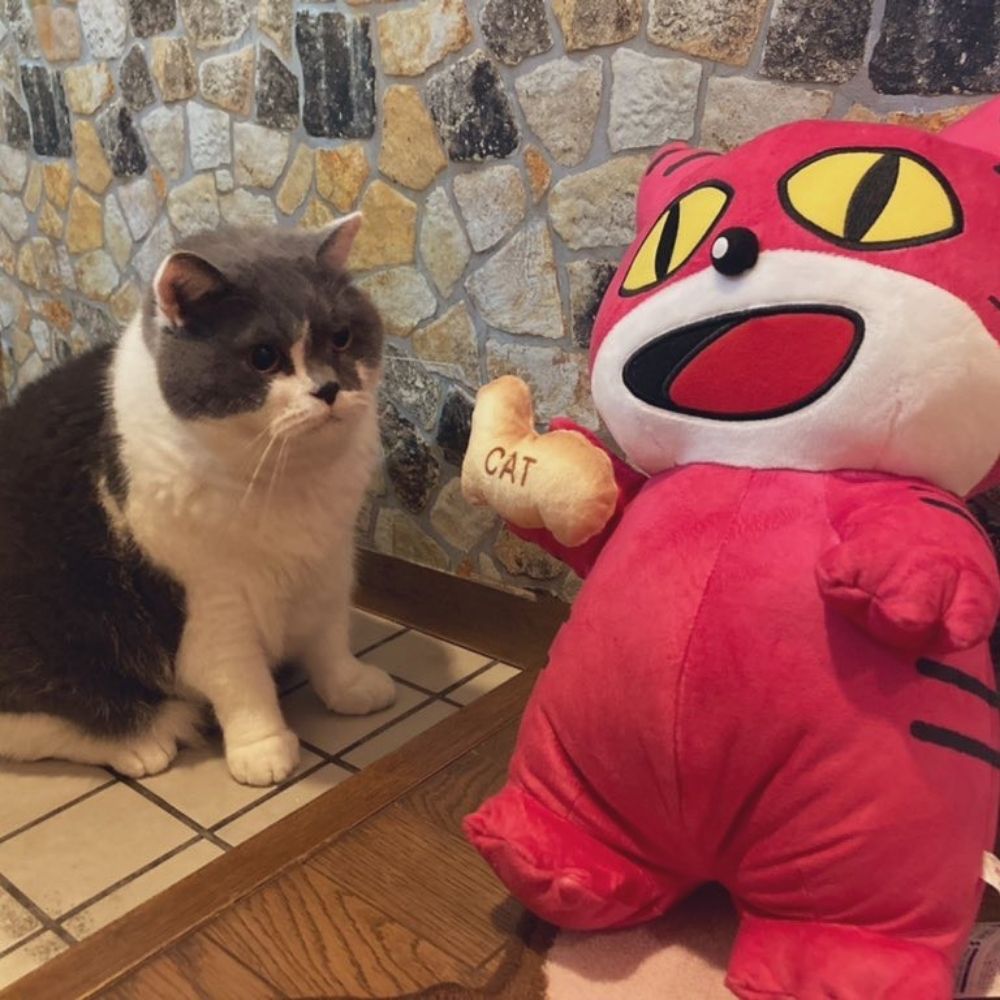 くらの