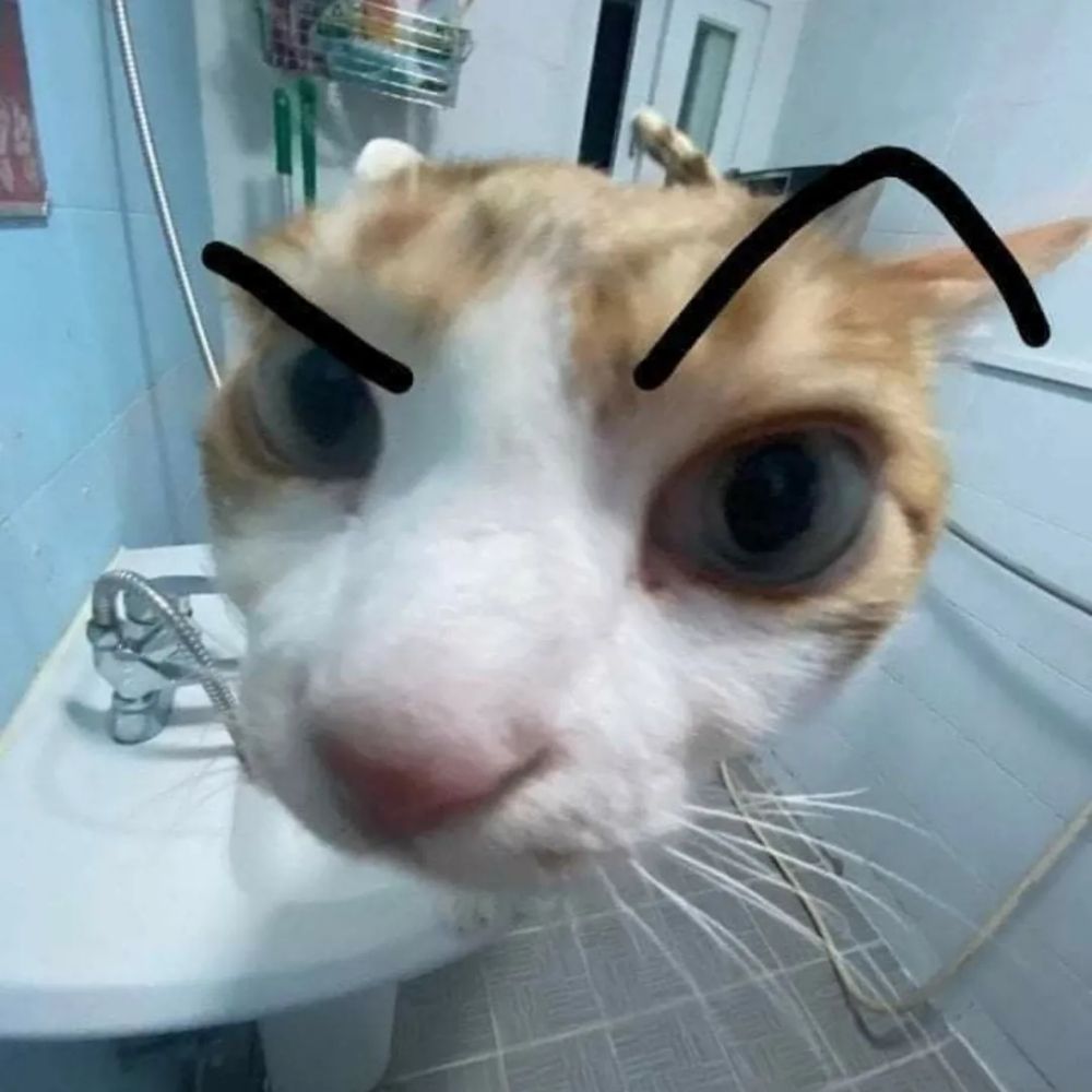 Igor_net
