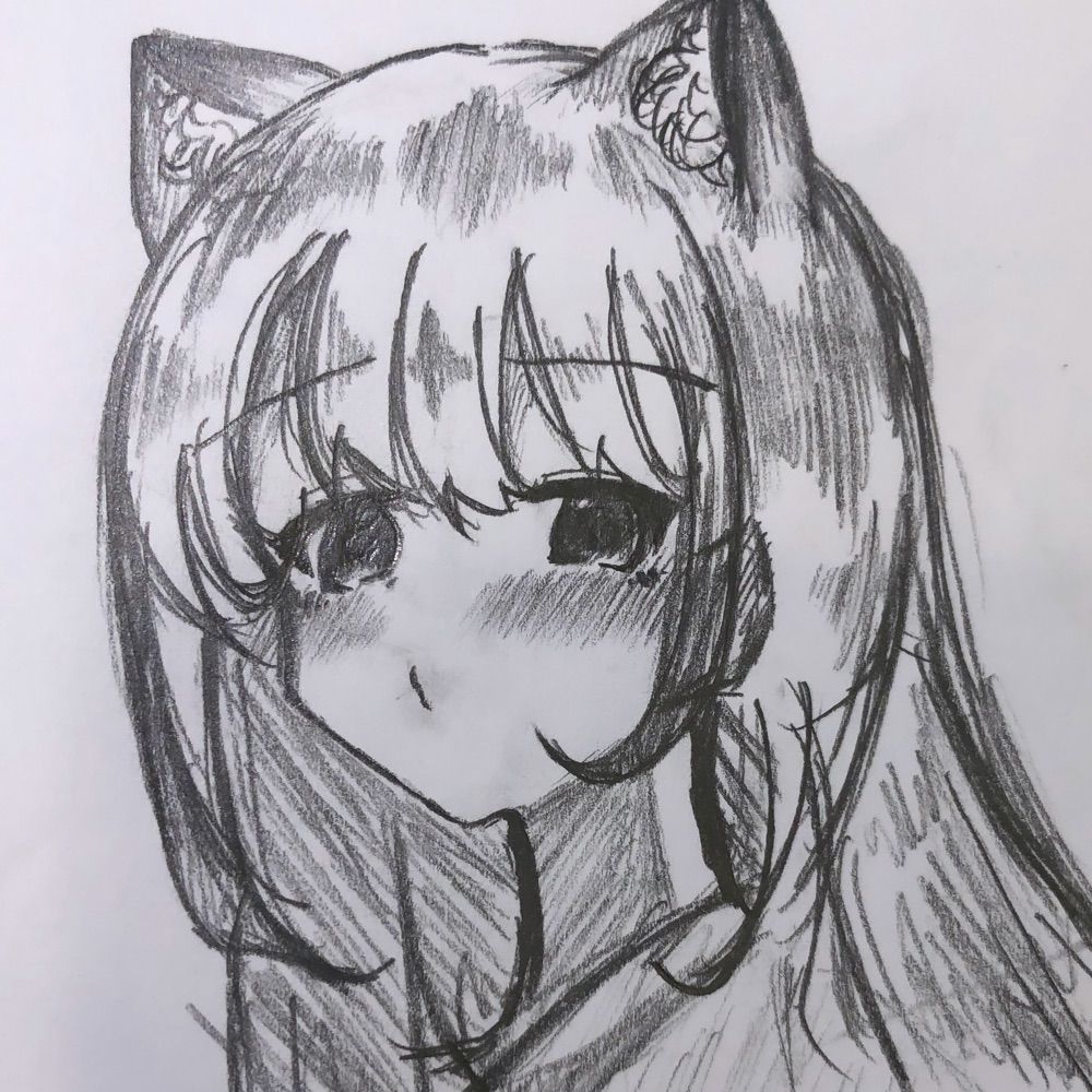 Dolly 猫くん.