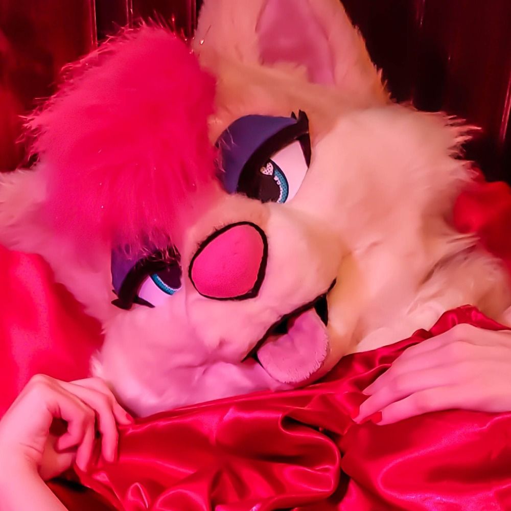 Lap(dance) Dog