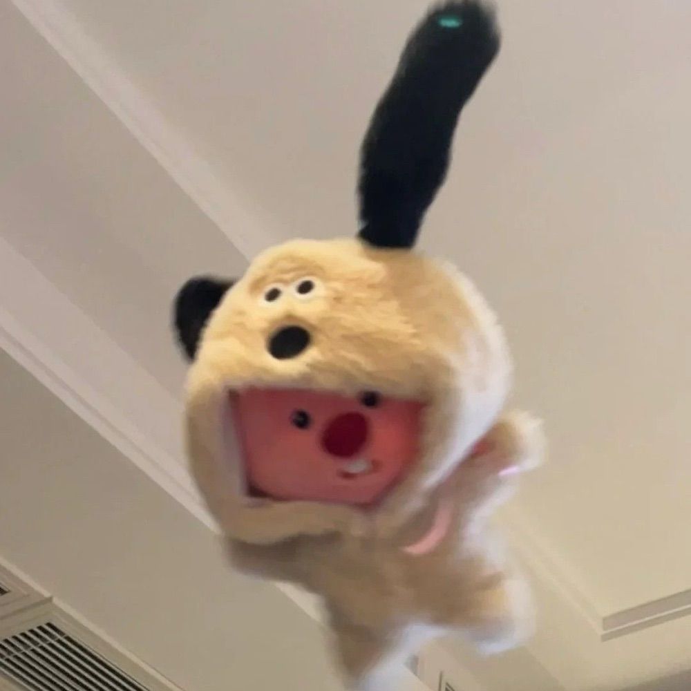 Lulu🦤