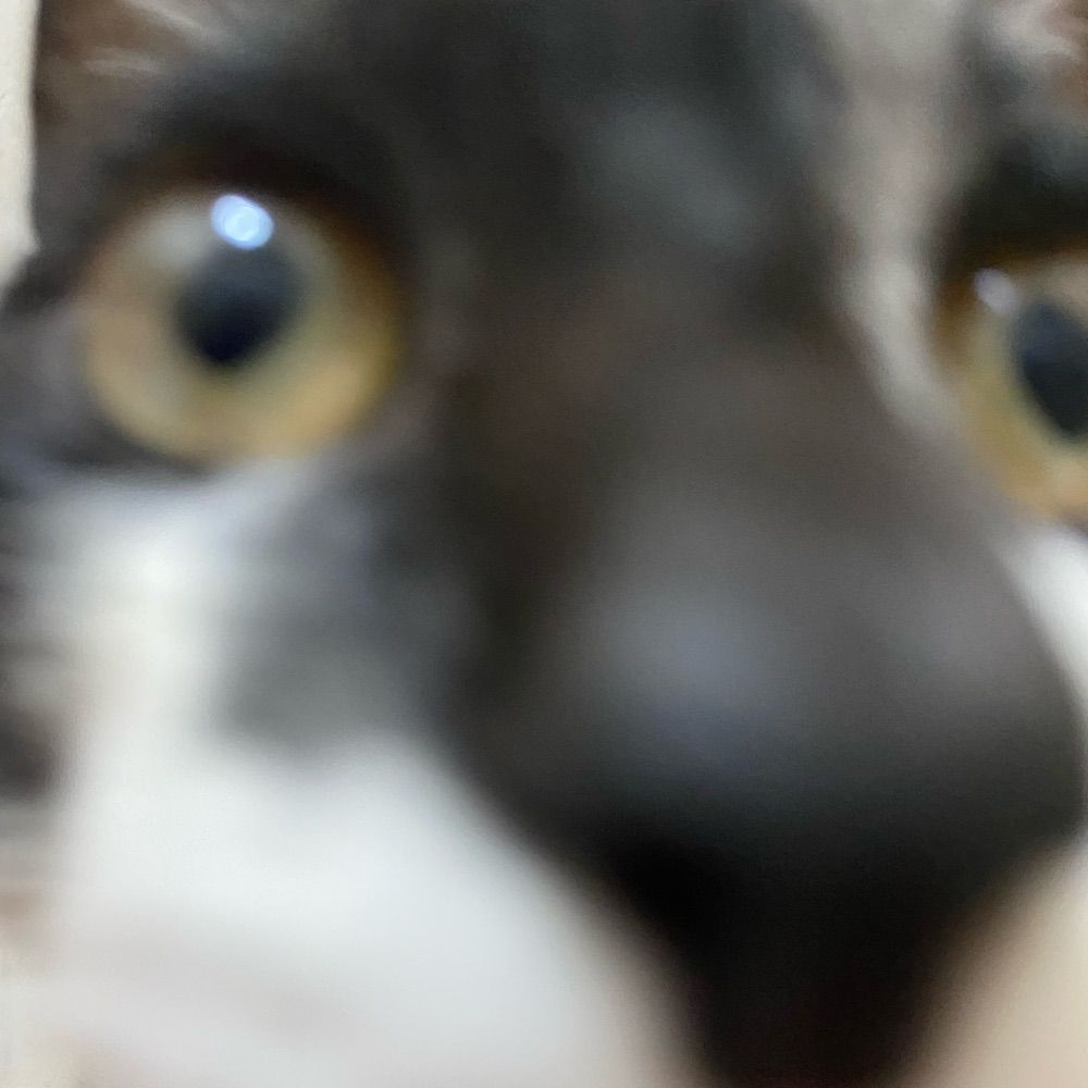 ju