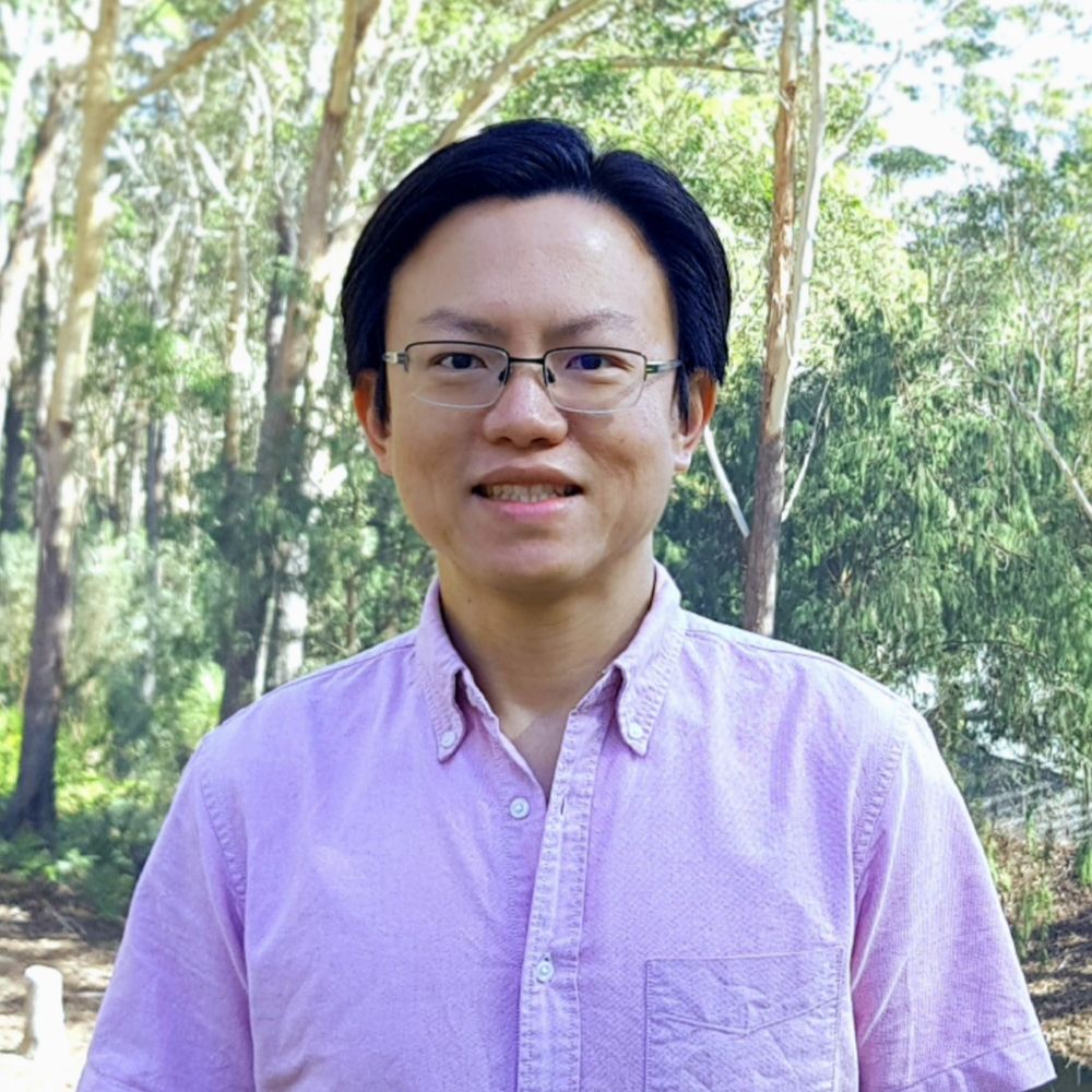 Yi Fei