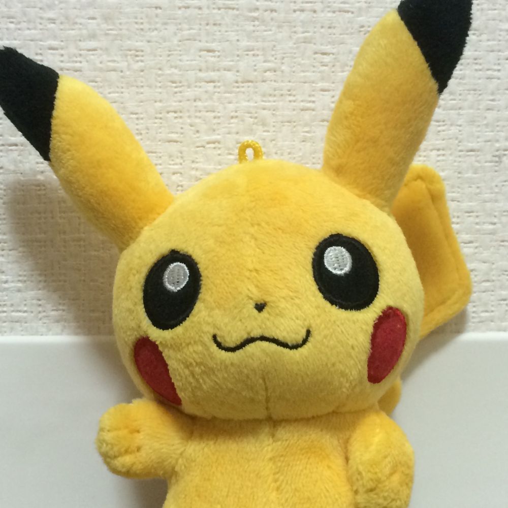 ししゃも