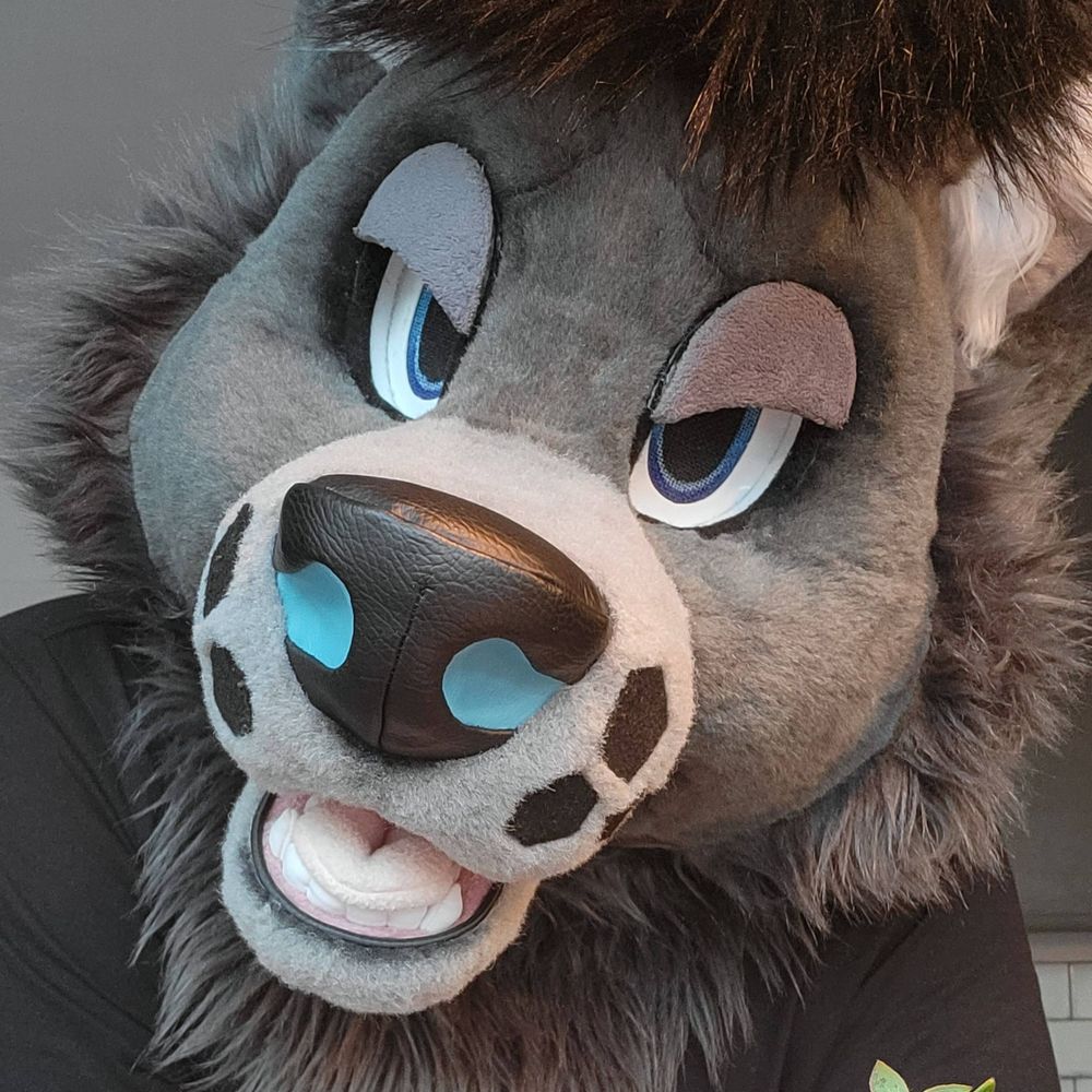 Hazard Wolf