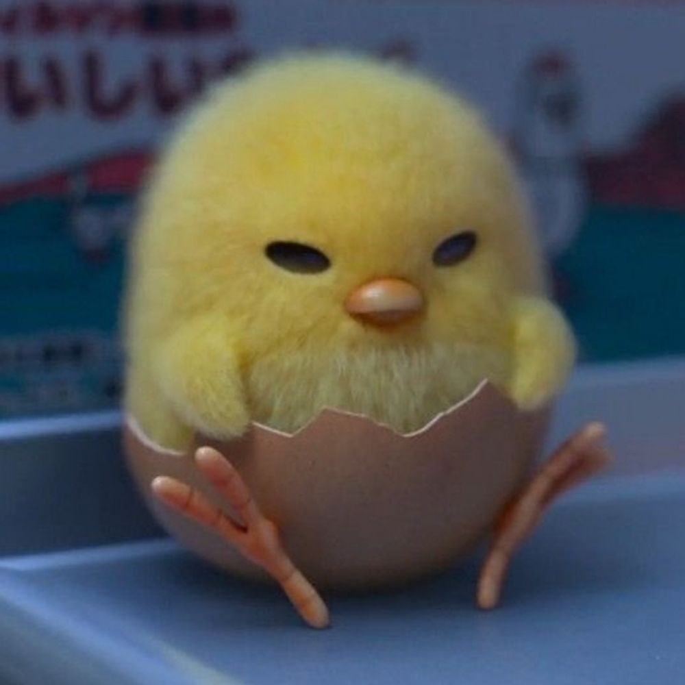 밷덕