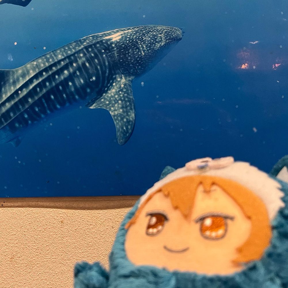 もんたりあん