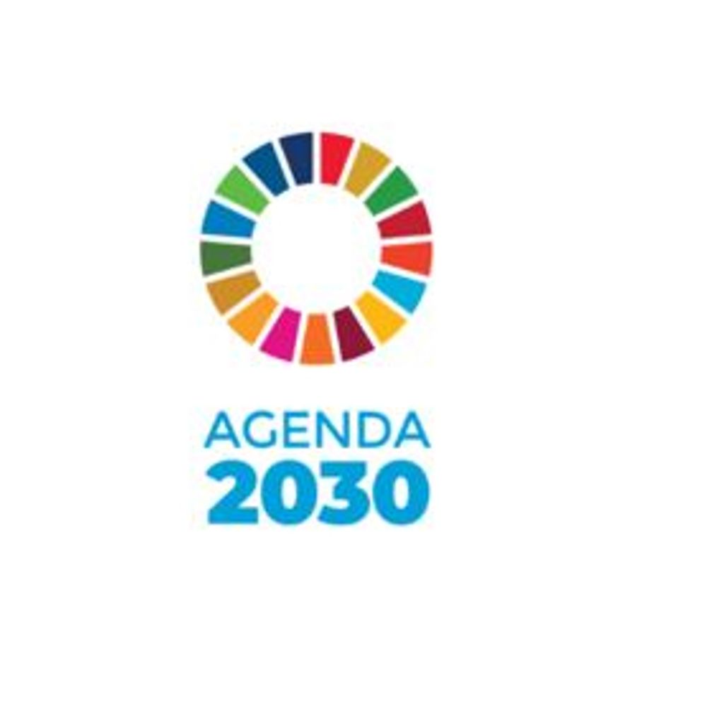 Dirección General de Agenda 2030