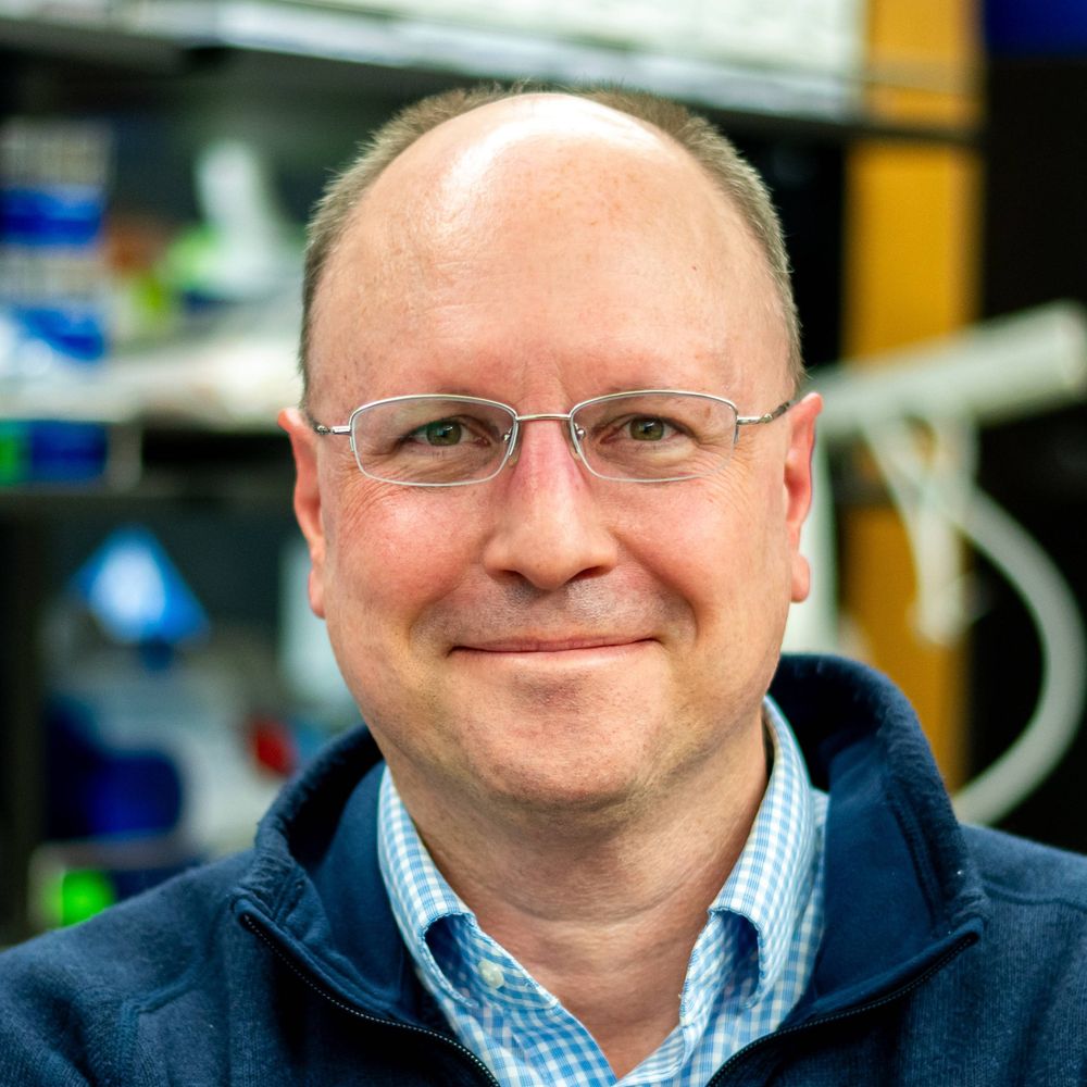 Fehniger Lab