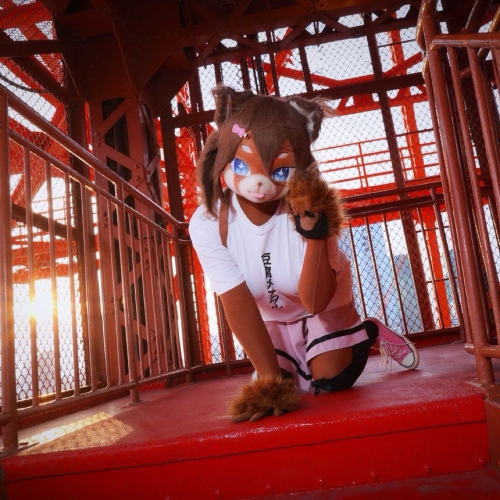 PONY