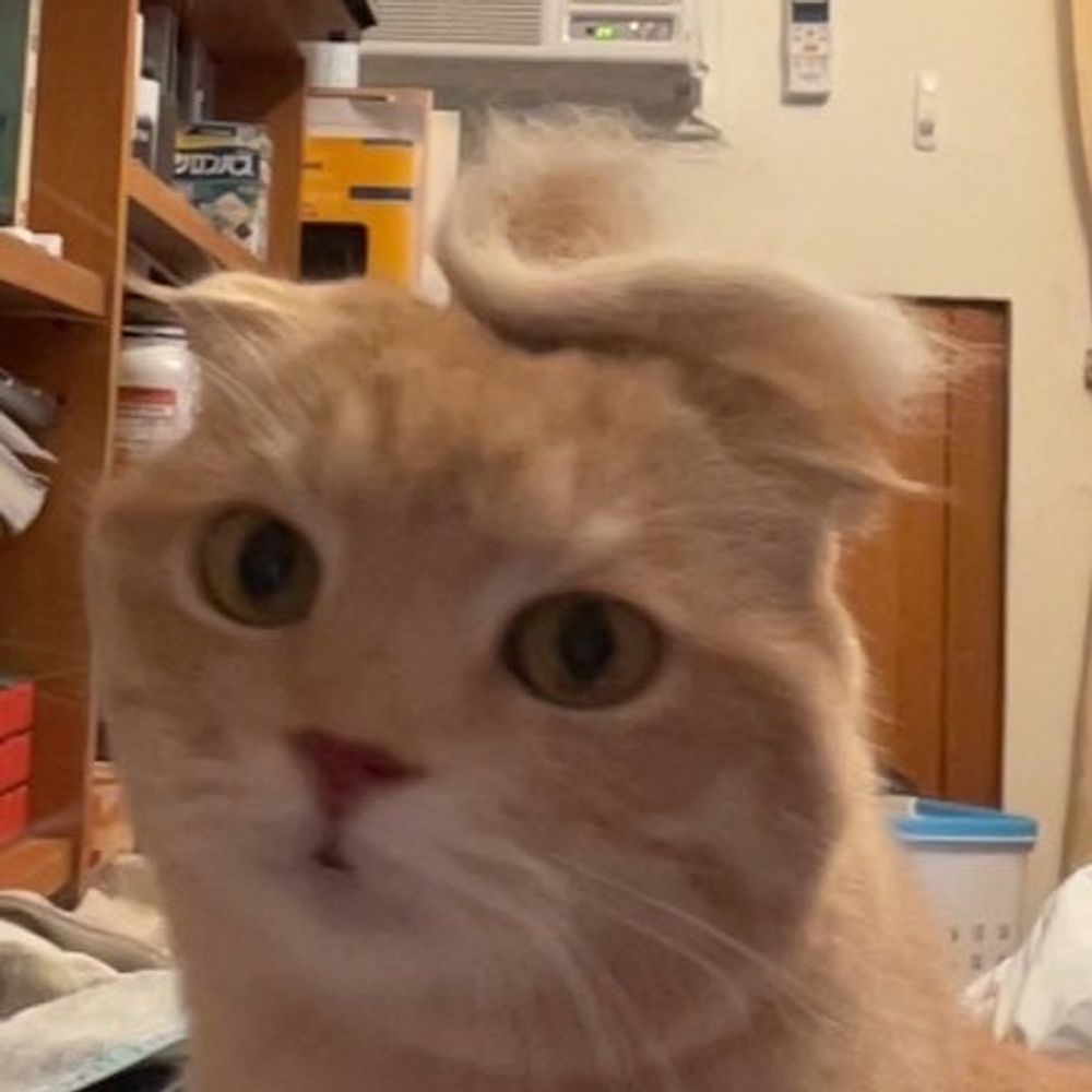 ㄏㄨ臭臭