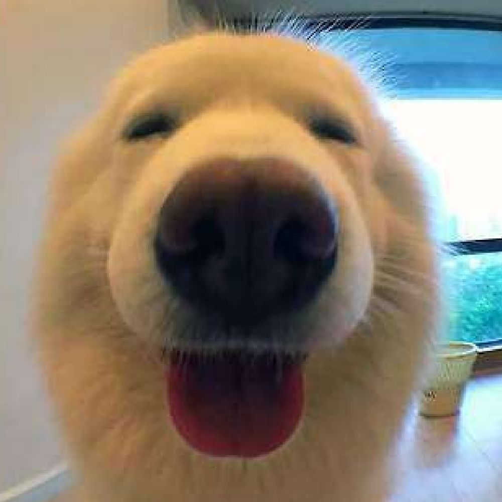 멸