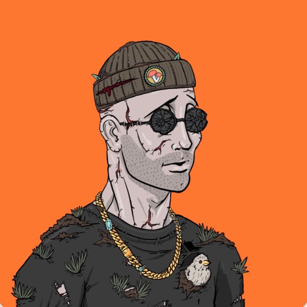 Robb