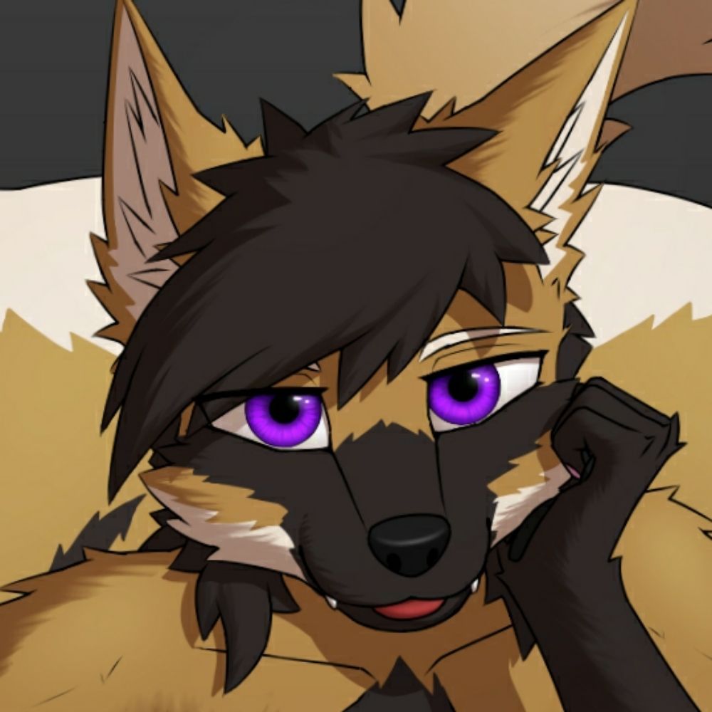 XOI Nova