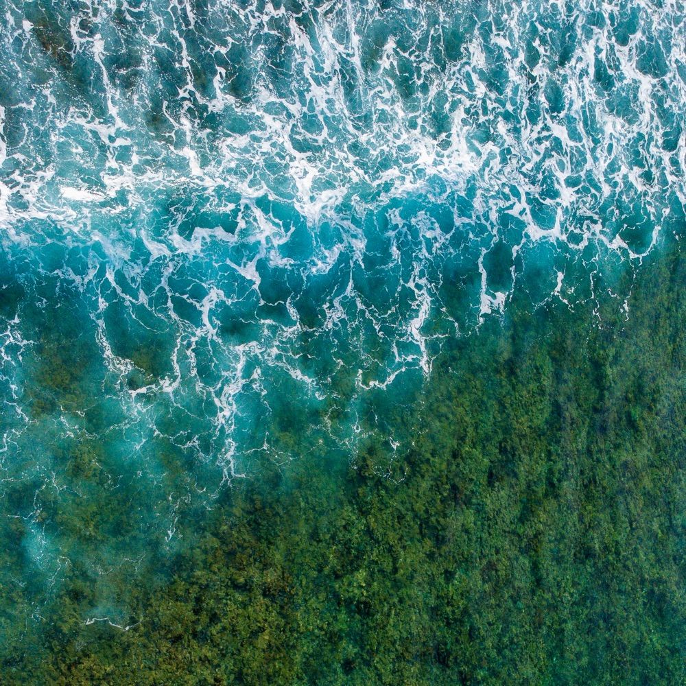 Trini Surfer