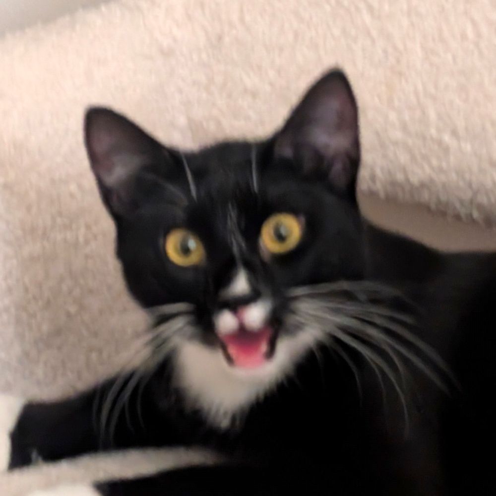 ᴀᴘʀɪʟ