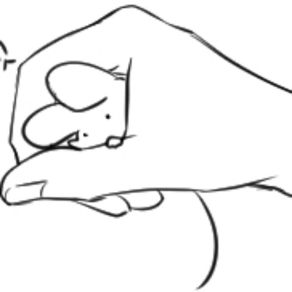 후연