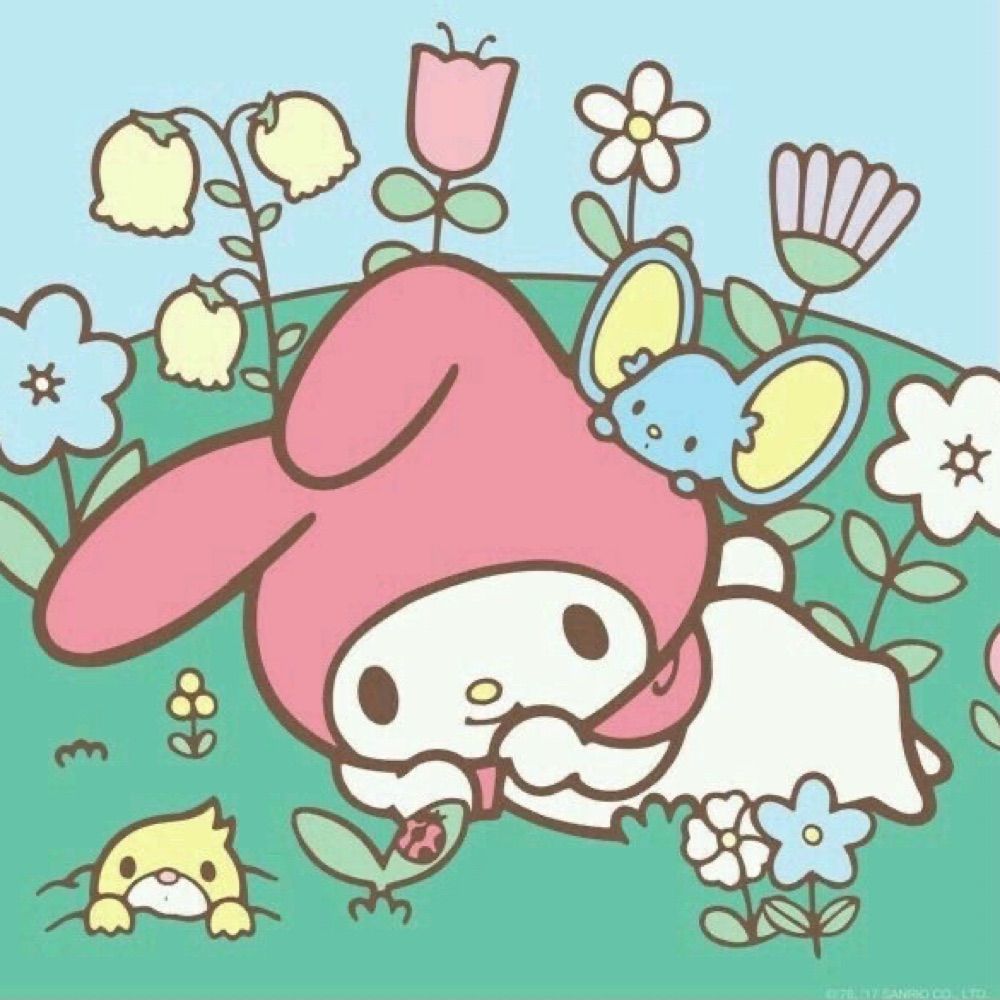 Tulip 🌷