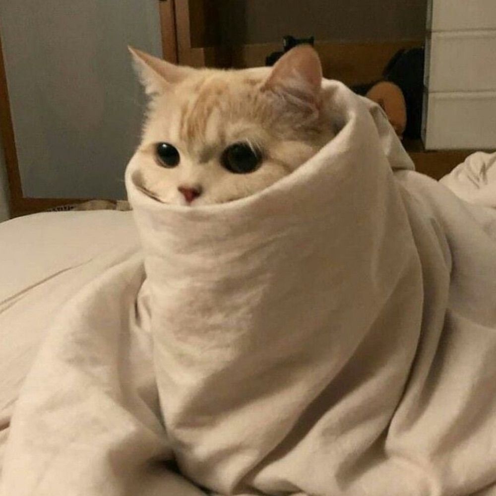 겨울