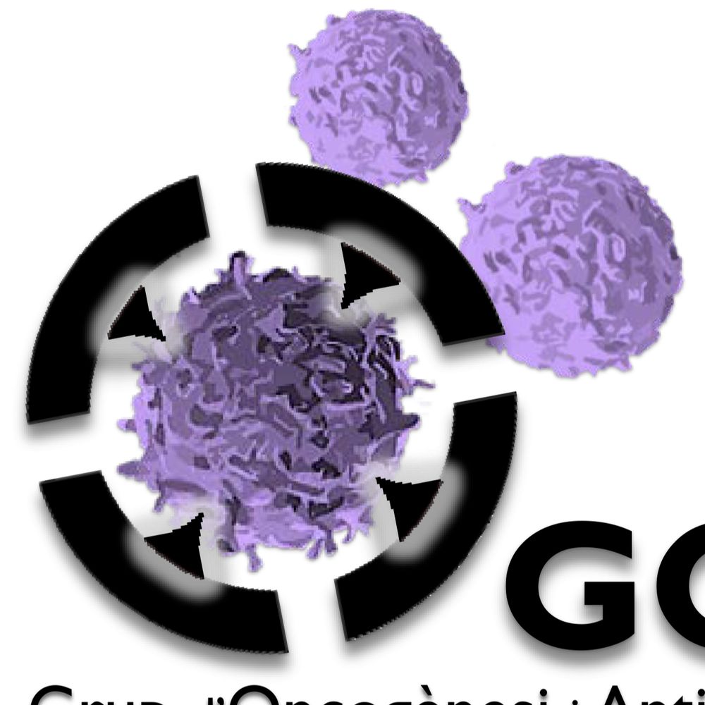 Grup d'Oncogènesis i Antitumorals-GOA