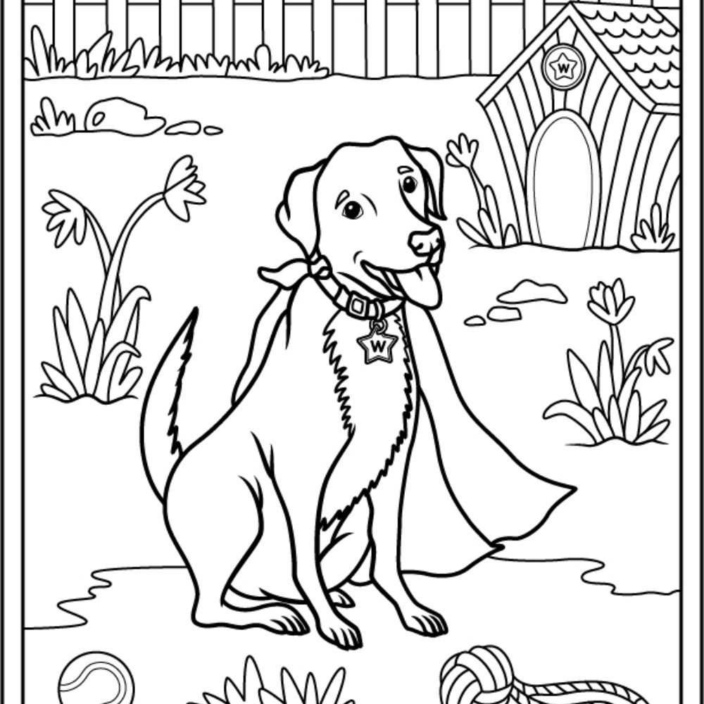 Watson Colouring Books