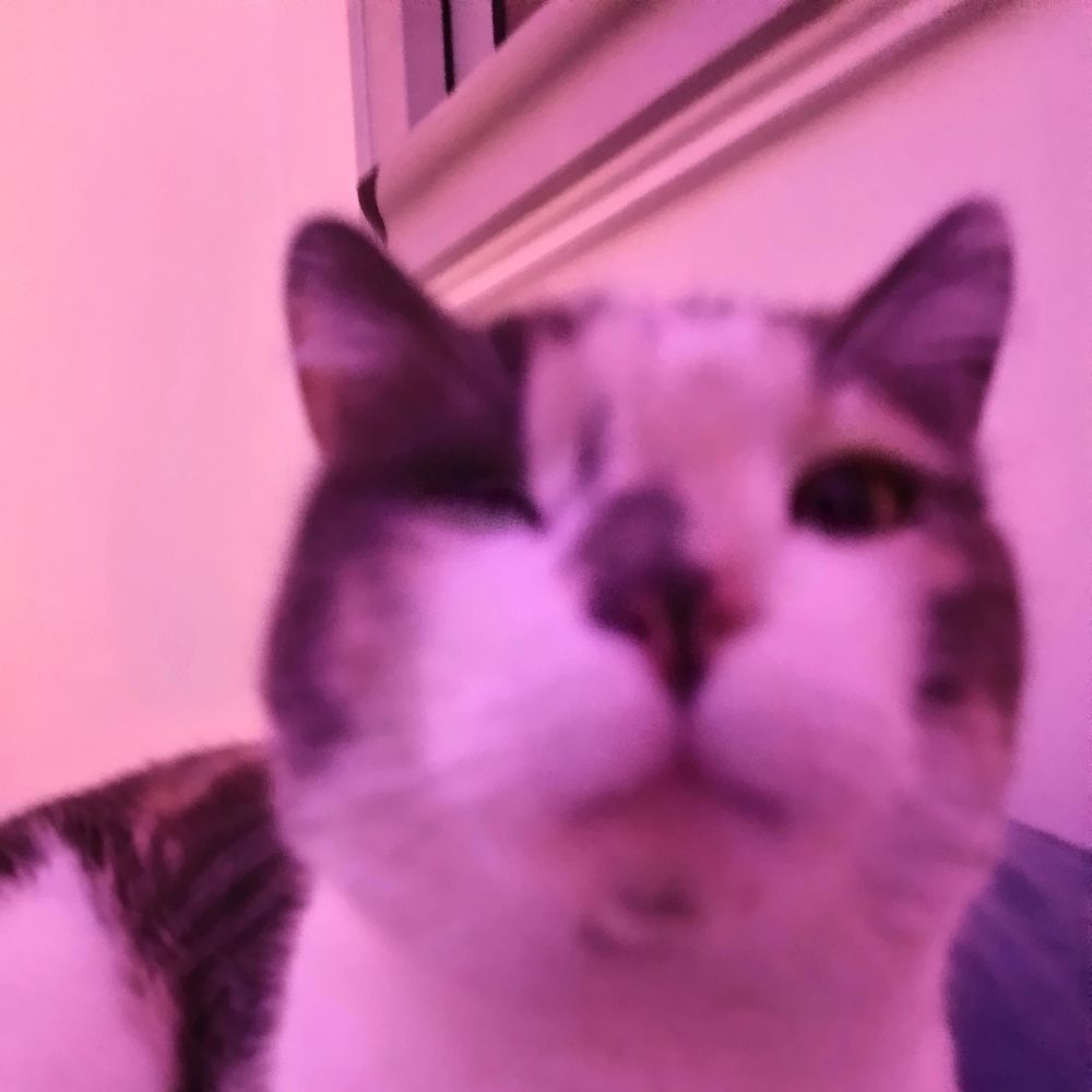 ☽ , 𝓛 *