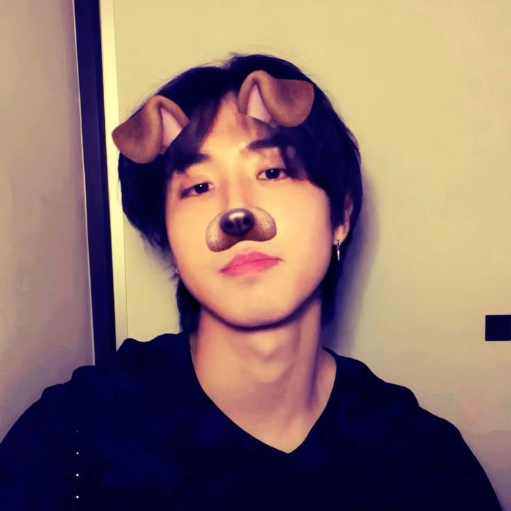 fã do han jisung 