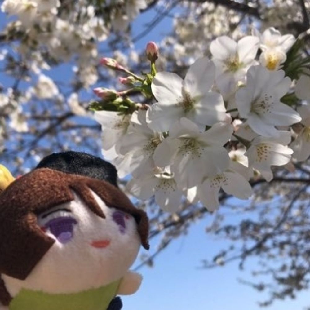 ほたまる