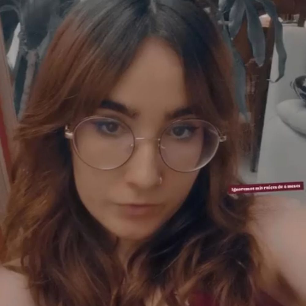 Zorra Pelirroja