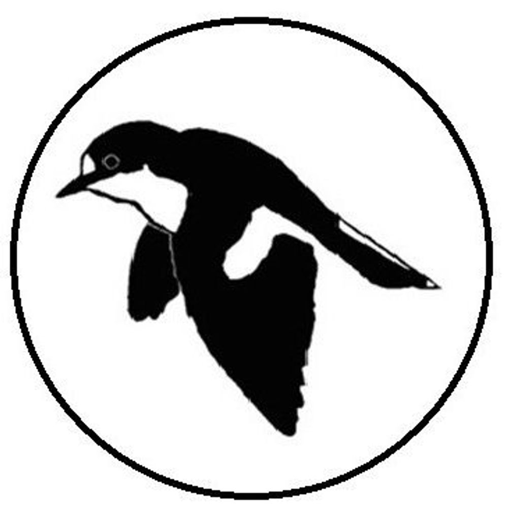 North East Norfolk Bird Club NENBC