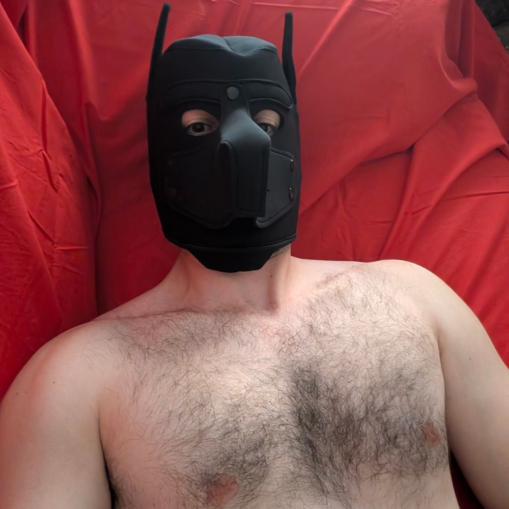 Terra.kinky.pup