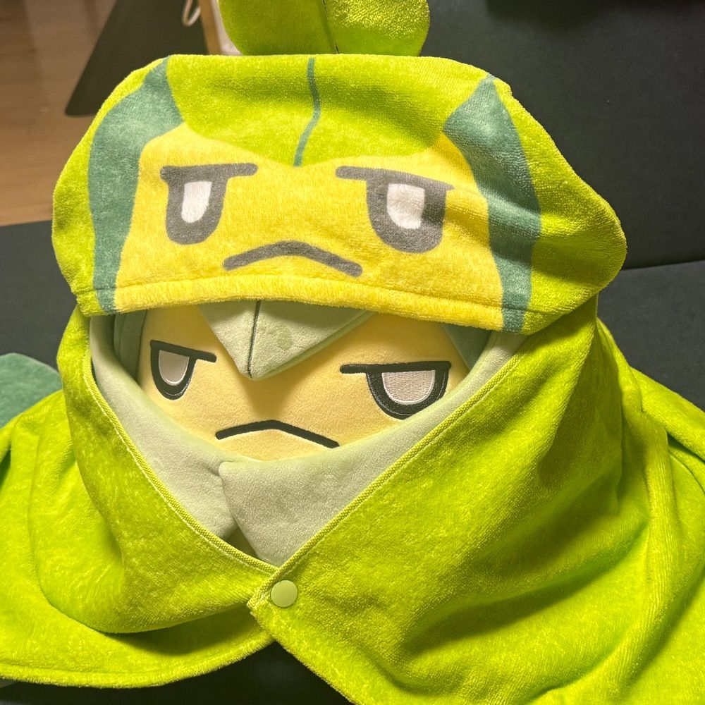 れでぃこち
