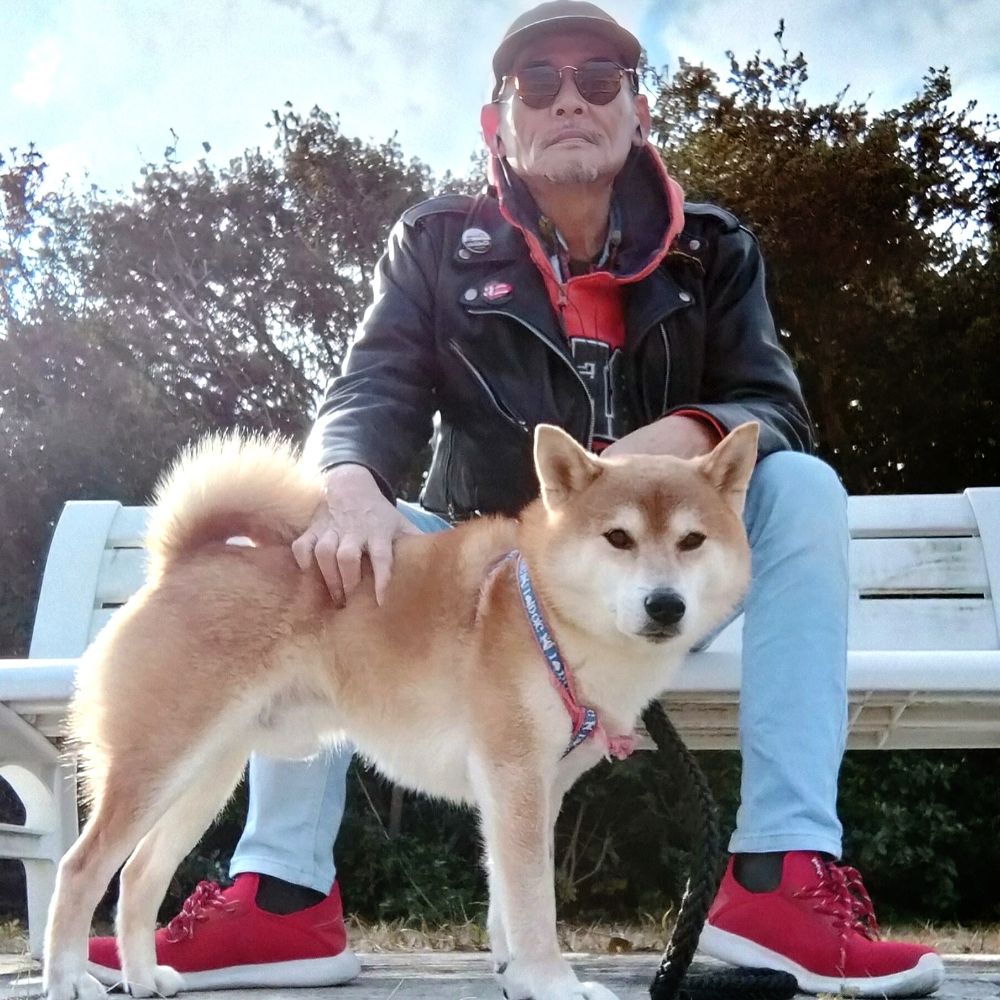 柴犬茶々と僕🐶👦