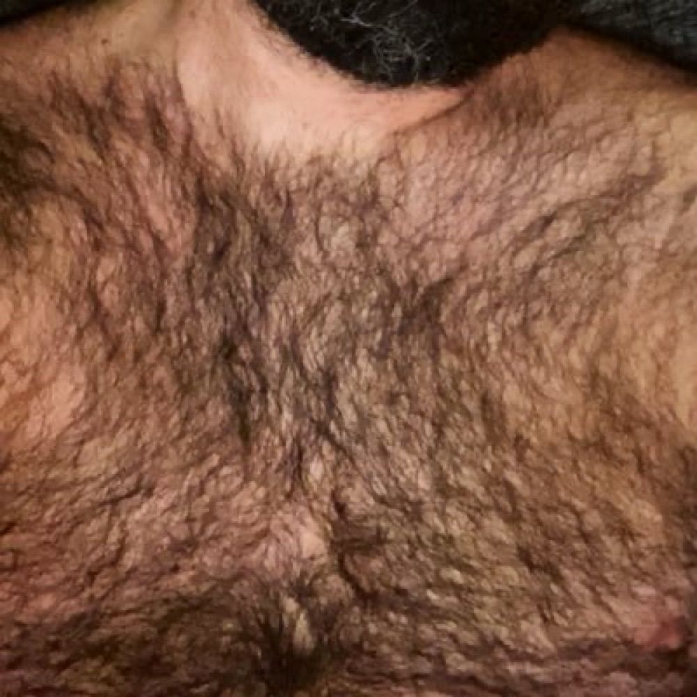 Bearguyxxx